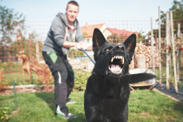 Proving Dog Owner Knowledge in Indiana Dog Bite Lawsuits